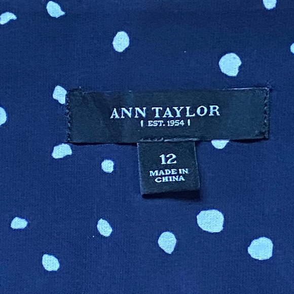 Ann Taylor Navy & White Pleated Polka Dot Skirt - Picture 2 of 6